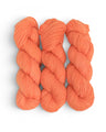 Coral Glow